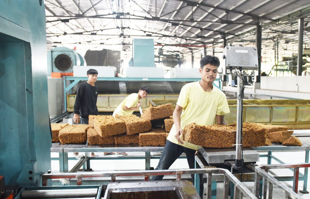 Cao su Quasa – Geruco: xanh thẳm tình hữu nghị